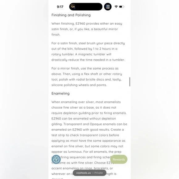 EZ960 Sterling Silver Clay - Picture 5 of 11